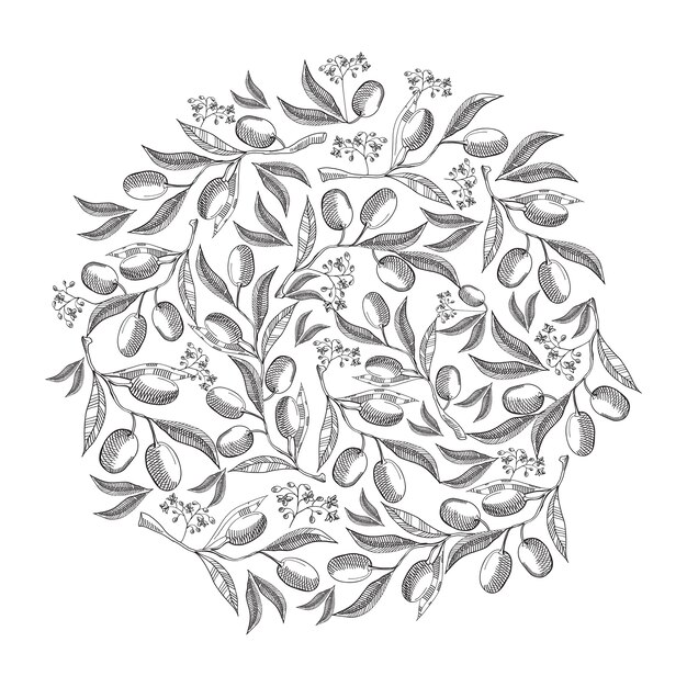 Circle pattern olive blossom doodle with repeating beautiful berries on white hand drawing illustration