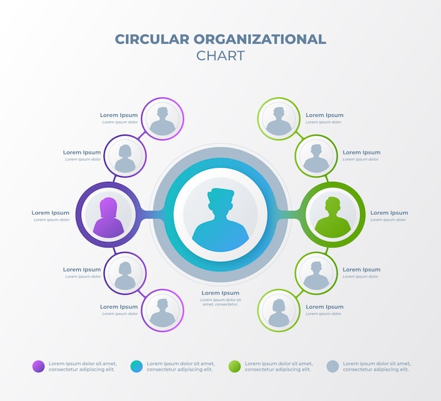 Vettore gratuito modello di progettazione infografica organigramma circolare