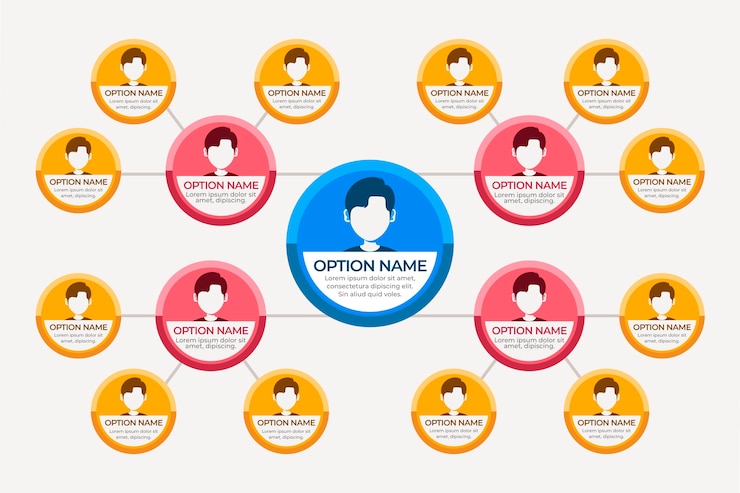 Free Vector circular organizational chart infographic design template