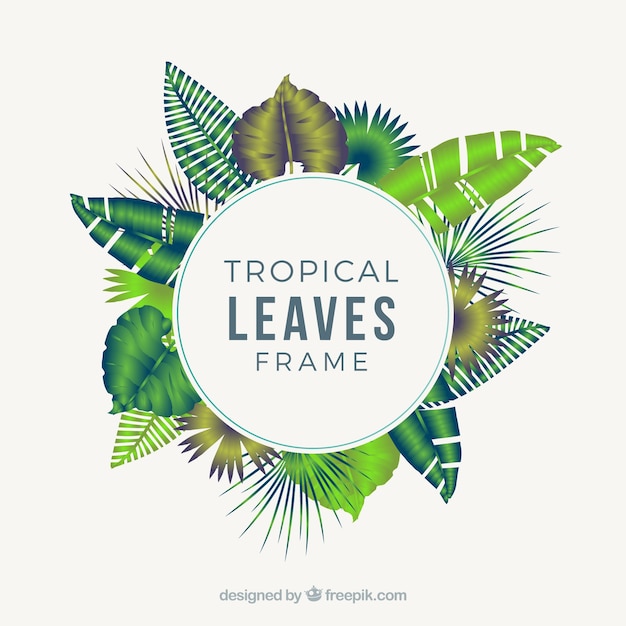 Circular realistic tropical leaves frame