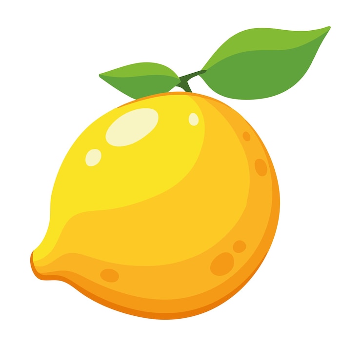 मुफ़्त वेक्टर citrus fruit and leaf icon isolated