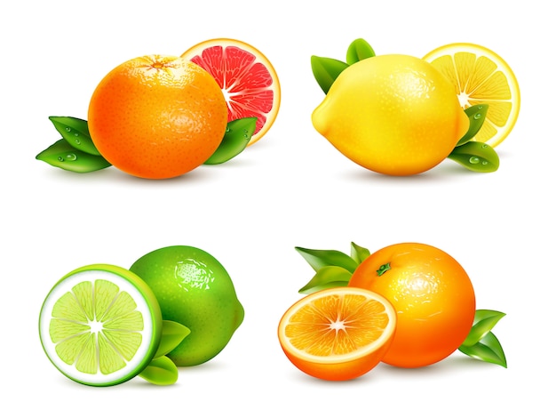 Цитрусовые фрукты 4 реалистичные иконки набор