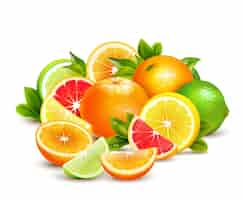 Free vector citrus fruits collection realistic composition