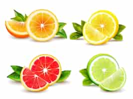 Free vector citrus fruits halves and quarter wedges 4 realistic icons square with orange grapefruit lemon isolat