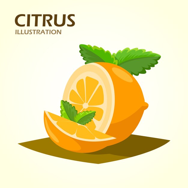 Citrus fruits halves and quarter wedges realistic icon 