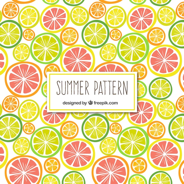 Citrus fruits pattern