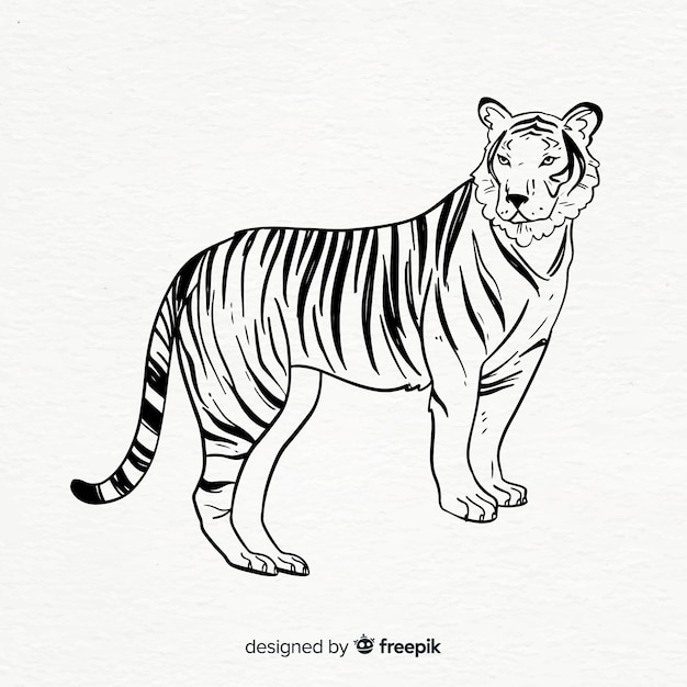 Free vector classic hand drawn tiger compositio