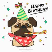 Free vector classic pug with birthday accesories