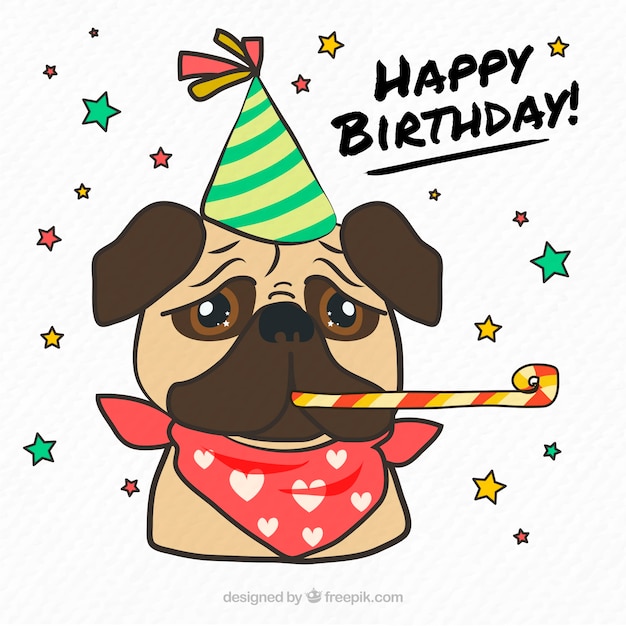 Classic pug with birthday accesories