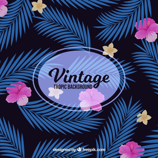 Classic tropical background with vintage style