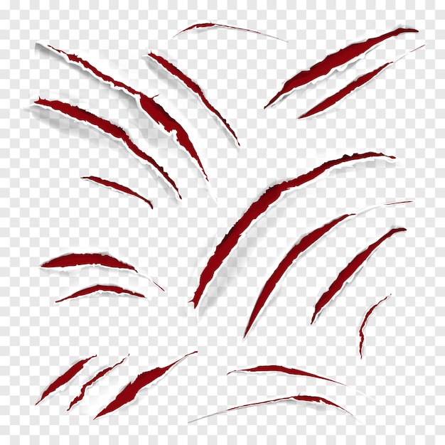 Claw scratches illustration of realistic red wild animal scratching with torn white texture