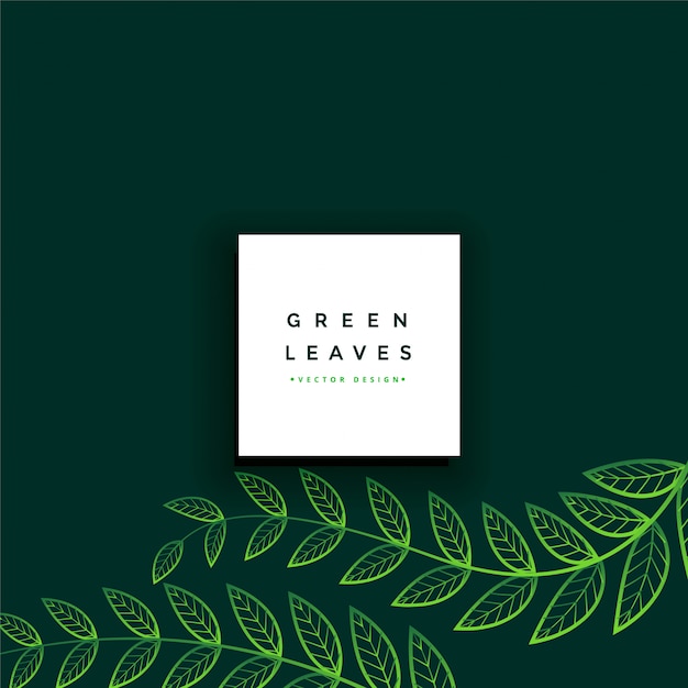 Clean minimal green leaves background