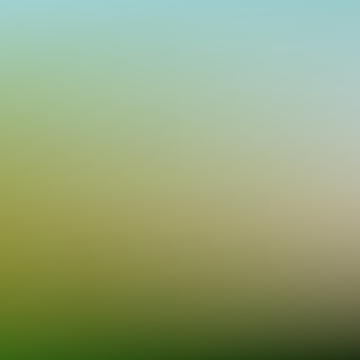 Free Vector clear blurred background