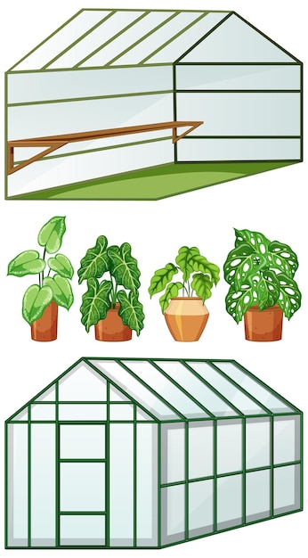 Free vector close and open view of empty greenhouse with many plants in pots