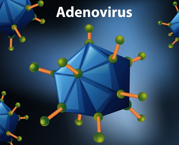 Adenovirus 다이어그램 닫기