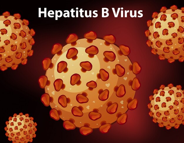 Close up diagram for hepatitus B virus