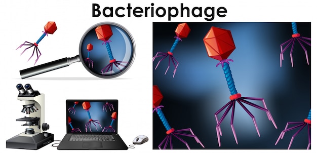 Chiuda sull'oggetto isolato del virus batteriofago