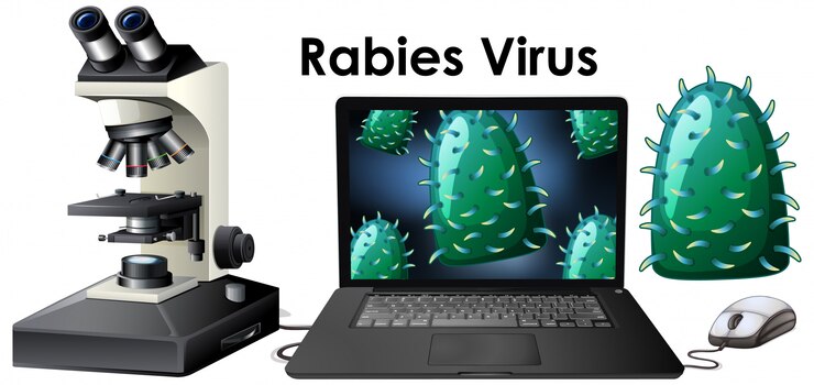 Free Vector close up isolated object of virus named rabies virus