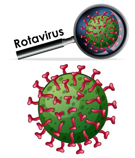 Free vector close up isolated object of virus named rotavirus