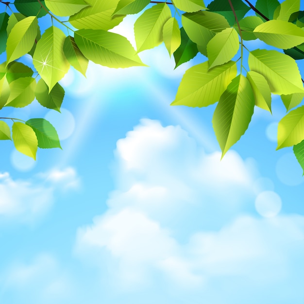 Free vector clouds and leaves background