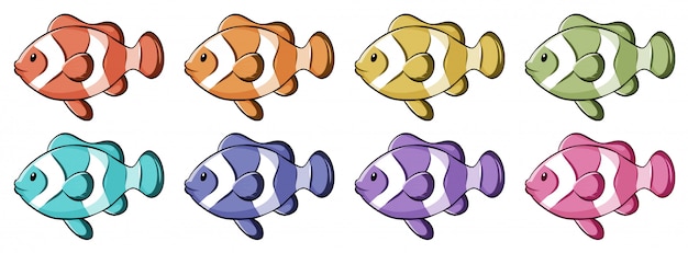 Free vector clownfish in many colors