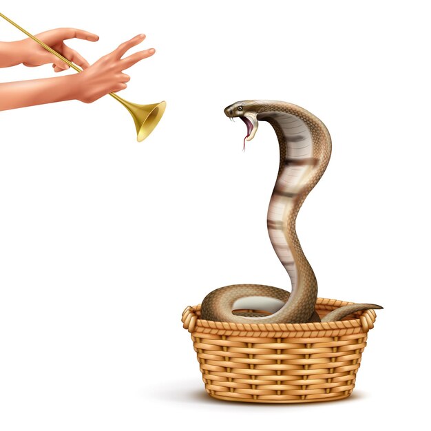 Cobra  and  snake  charmer  realistic  composition  with  isolated  images  of  human  hands  playing  pipe  and  snake    illustration