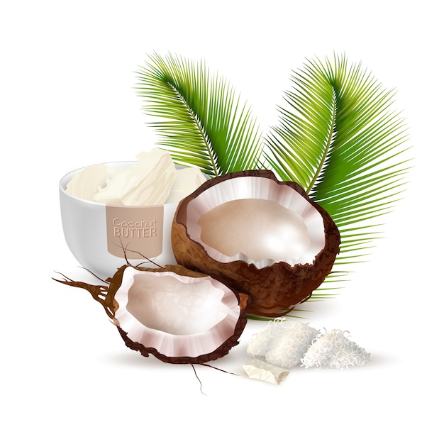 Coconut Realistic Illustration