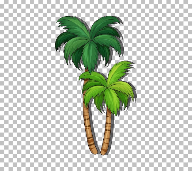 Free vector coconut tree on transparent background