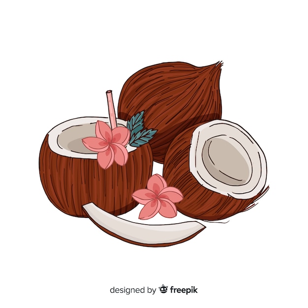 Free vector coconuts