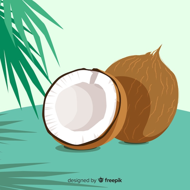 Free vector coconuts