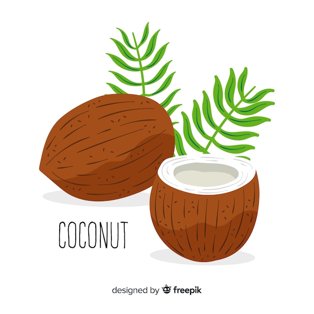 Vettore gratuito noci di cocco