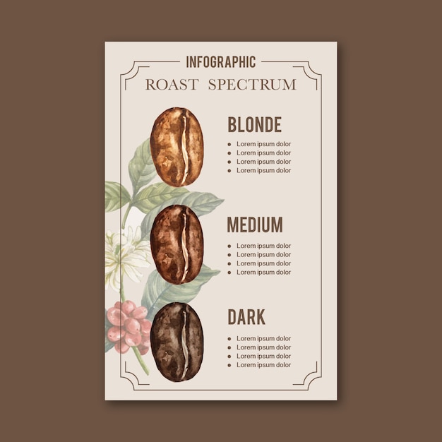 Coffee arabica roast beans burn type of coffee, infographic watercolor illustration