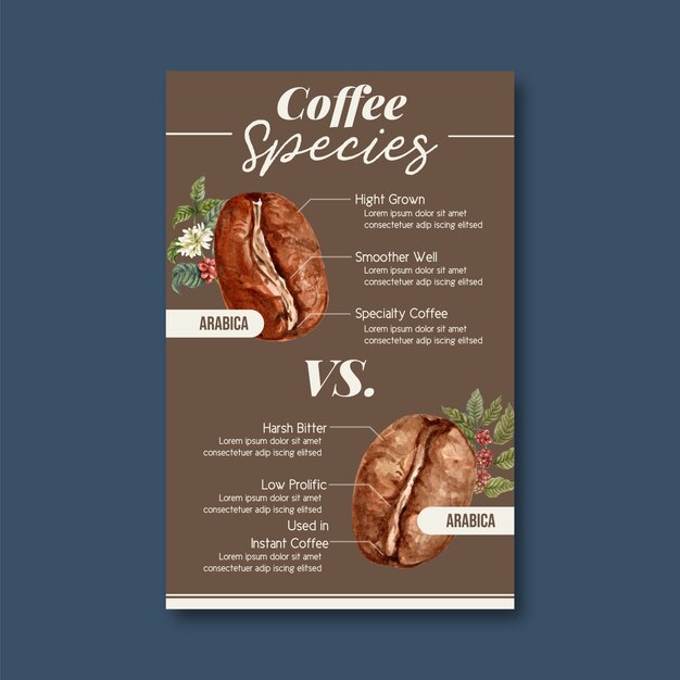 Coffee arabica roast beans burn type of coffee, infographic with text watercolor illustration