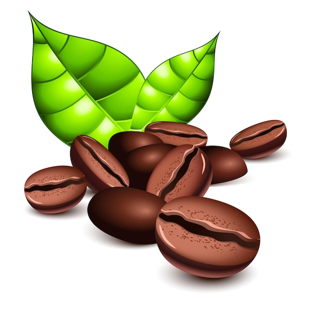 Coffee beans and leaves