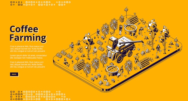 Coffee farming banner. eco technologies for picking coffee beans on plantation. isometric illustration of modern field with solar panels, combine harvester, trees and workers