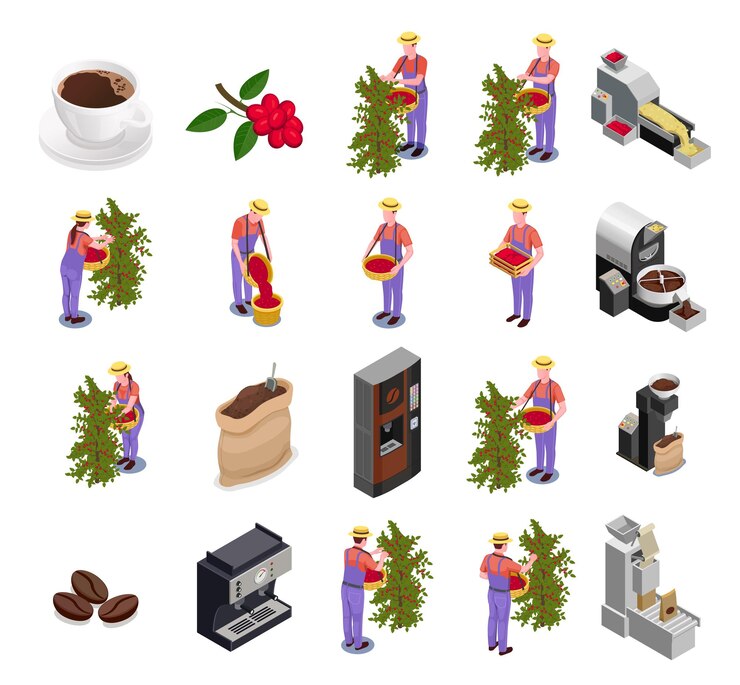 Free Vector coffee industry production isometric icons set with plantation fruit harvesting sorting roasting processing packing machine vector illustration