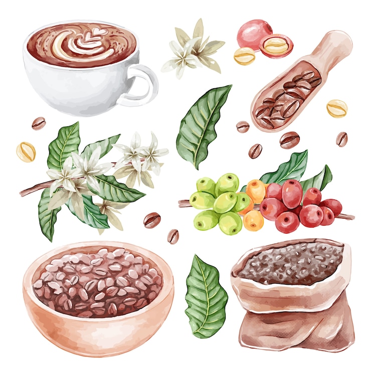 Free Vector coffee plantation watercolor elements collection