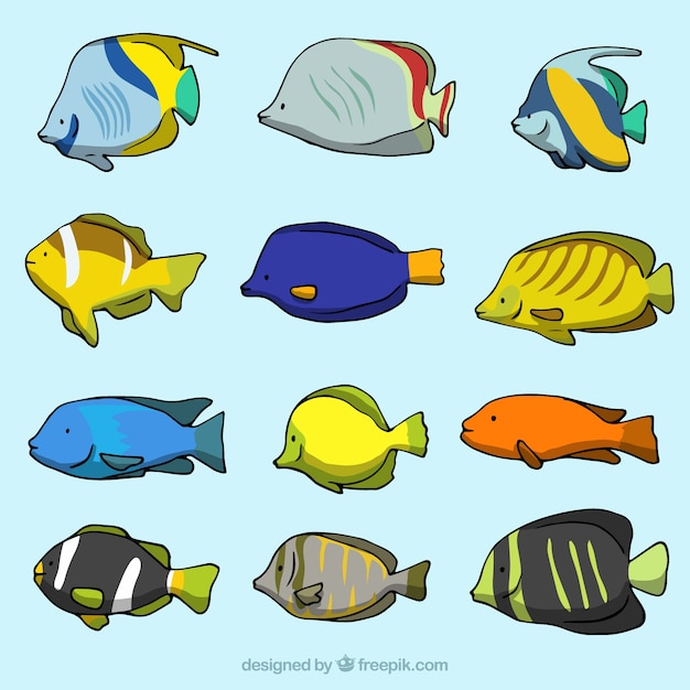 Free vector collection of 12 fish