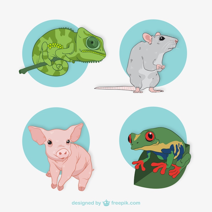 Free Vector collection of animal illustrations