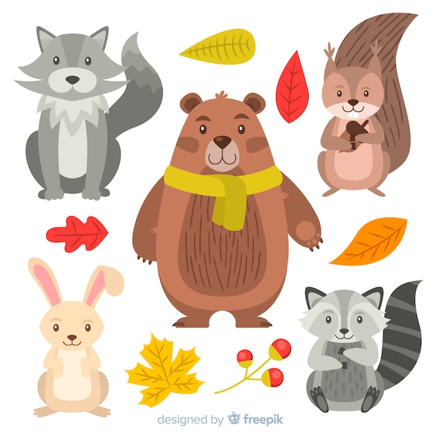 collection of autumn forest animals flat design