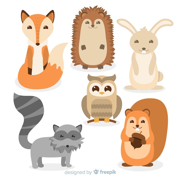 Collection of autumn forest animals flat design