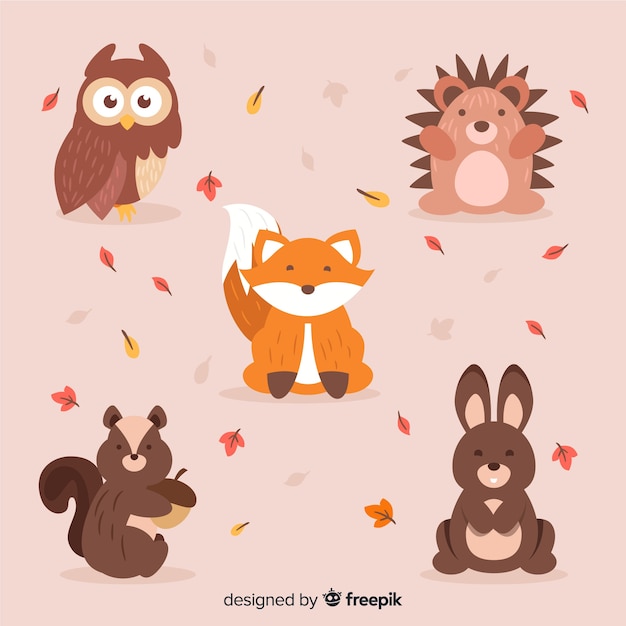 Collection of autumn forest animals flat design