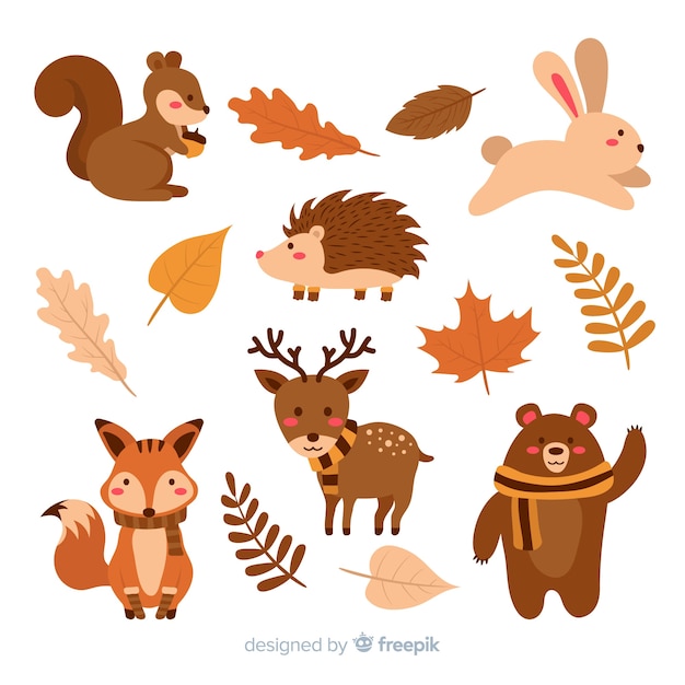 Collection of autumn forest animals flat design
