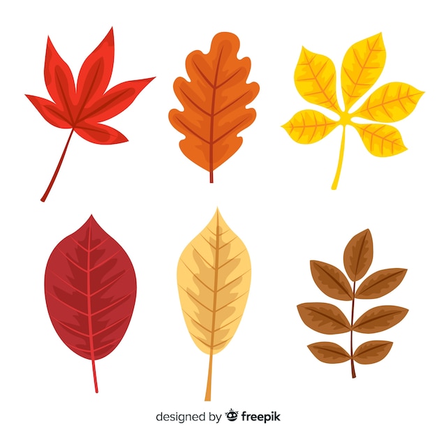 Collection of autumn leaves flat design