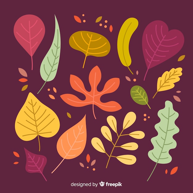 Collection of autumn leaves flat design