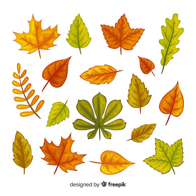 Коллекция осенних листьев плоский дизайн