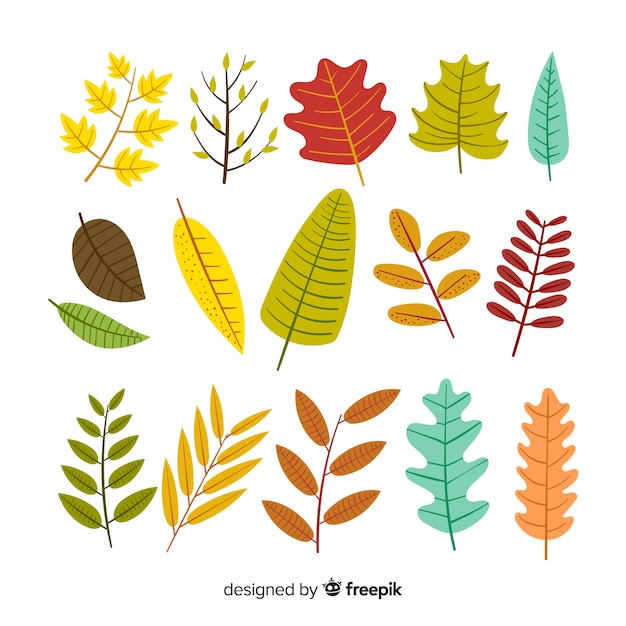 Коллекция осенних листьев плоский дизайн