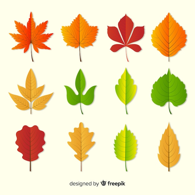 Free vector collection of autumn leaves flat design