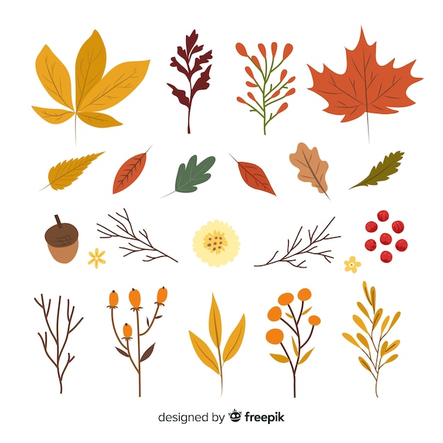 Free vector collection of autumn leaves hand drawn style