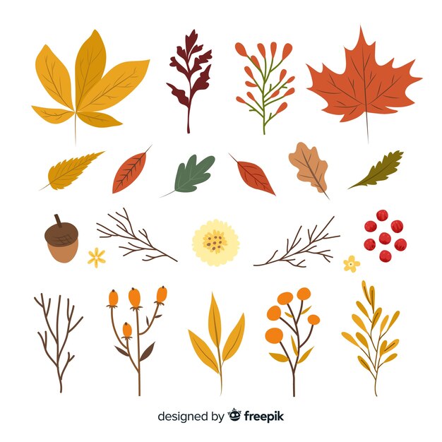 Collection of autumn leaves hand drawn style